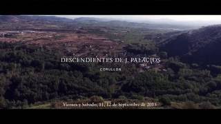 Vendimia 2015 Viñedo del paraje Las Lamas Corullón Bierzo [upl. by Nimajaneb]