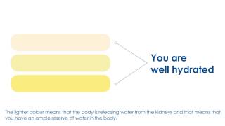 H4H Initiative  How to use the Urine Colour Chart [upl. by Anafetse246]