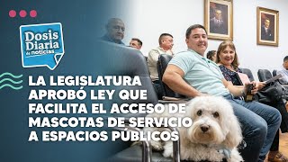 La Legislatura aprobó ley que facilita el acceso de mascotas de servicio a espacios públicos [upl. by Cassy545]