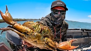 Solo GIANT CRAB Tinny Missions  COOKING ON A FIRE  Outback Australia [upl. by Vanny]