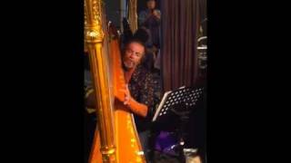 Steve Kilbey plays Milky Way on concert harp [upl. by Leissam21]