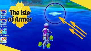 Best Pokemon Follow Animations in Pokemon Sword amp Shield DLC Isle of Armor [upl. by Eceinehs277]