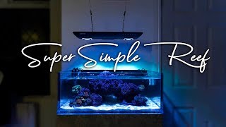 How To Setup a Super Simple Saltwater Reef Aquarium for Beginners [upl. by Ierdna]