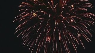 Illinois Fireworks Legalization [upl. by Jeralee840]