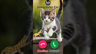 Calling jump baby cat Meow meow meow cat ytshorts arhamaarishquotes shorts viral [upl. by Arec]