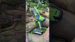 Greenworks 24V Mini Chainsaw Pruner Small Tool With Big Results [upl. by Hermia30]