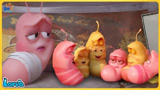 LARVA CARTOONS FULL EPISODE BIG FAMILY  CARTOONS FULL MOVIE  FUNNY CARTOON COMPILATION [upl. by Repsac232]