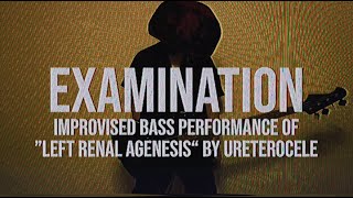 Ureterocele  Improvised Bass Performance of quotLeft Renal Agenesisquot  Examination [upl. by Aicram]