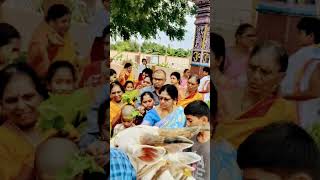 Karthik deepam govu ki pooja in sathyasai shetram 🙏🙏🙏🙏 [upl. by Anyah]