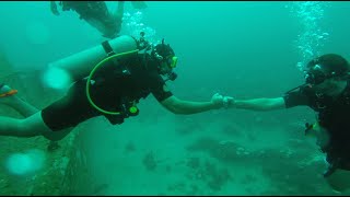 Tyrrel Bay Wreck Dive Grenada Dec 2023 [upl. by Elum477]