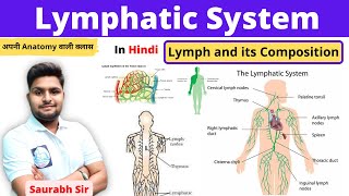 Lymphatic system  Lymph and its component  For Neet Nursing pharmacy [upl. by Latsyrhk16]