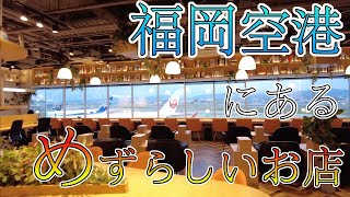 【福岡空港にあるめずらしいお店】福岡空港 福岡観光 Shops at Fukuoka Airport Japan 후쿠오카 공항의 가게 일본 福冈机场的商店 日本 [upl. by Azelea]