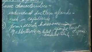 Integrative Biology 131  Lecture 36 Endocrine System [upl. by Joellyn264]