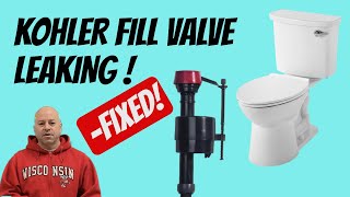 Kohler Fill Valve Leaking Try This Before Replacing [upl. by Einnol]