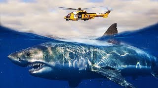 What If MEGALODONS Were Still ALIVE [upl. by Hulbert]