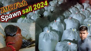 2024 Sal Ka IMC Machhali ka spawn kab Milega  fish ka baccha kahan Milta Hai Fish seed selling [upl. by Mufinella627]