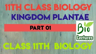 Kingdom Plantae Part01 for class 11th Biology [upl. by Tait586]