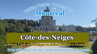 Montreal Walking Tour CÔTEDESNEIGES to SAINT JOSEPH’S ORATORY 4K Ði bộ ở CDNOctober 032024 [upl. by Christy219]