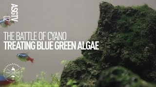 How to Kill Cyanobacteria In A Planted Tank [upl. by Daub]