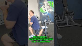 Split squat  Rear foot elevated  Cues [upl. by Chisholm]