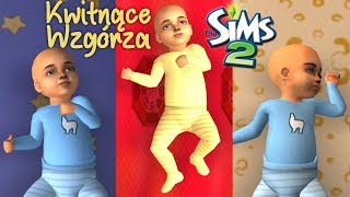 Hodowla niemowląt  Sims 2 Kwitnące Wzgórza 11 [upl. by Anelad]