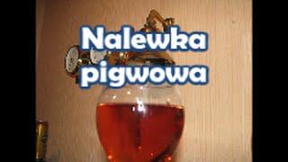 Nalewka pigwowa  na zdrowie  Kwestia Samku [upl. by Couhp]