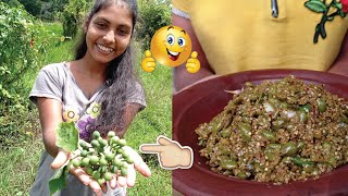 Delicious and healthy thibbatu Mellum by Village GirleSri Lankan Wild EggplantThibbatu Mellum [upl. by Laucsap492]