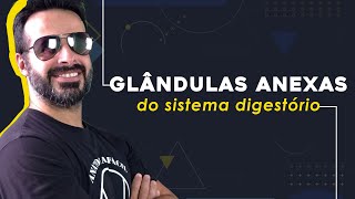 GLÂNDULAS ANEXAS DO SISTEMA DIGESTÓRIO [upl. by Lsil164]