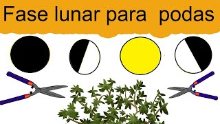 Fases lunares para podar  En que fase de la luna se puede podar 🌙 [upl. by Wulf]