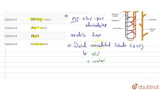 Nephrons distal convoluted tubule is permeable to [upl. by Lavotsirc709]