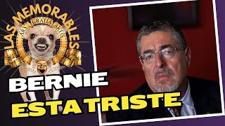 BERNIE ESTA TRISTE [upl. by Coit]