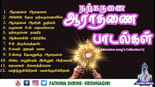 Adoration Songs Collections  நற்கருணை ஆராதனை பாடல்கள்  JukeBox  Fatima Shrine  Krishnagiri [upl. by Eanaj]