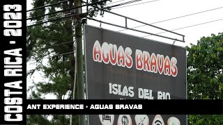 Hormigas Town Ant Experience Aguas Bravas Costa Rica 2023 [upl. by Obelia]