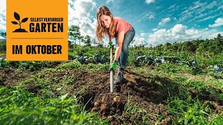 Selbstversorger Garten Das gibts zu tun im Oktober  Ein Videotagebuch [upl. by Yelrahs]