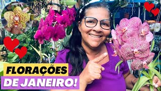 🔵TOUR MOSTRANDO AS LINDAS FLORAÇÕES DAS ORQUÍDEAS NESSE MÊS DE JANEIRO‼️😍 [upl. by Suryc]