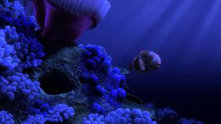 Finding Nemo  quotNemo Eggquot scene in Beautiful HD [upl. by Yht]