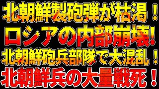 【ウクライナ戦況】北朝鮮製砲弾が枯渇！ロシアの内部崩壊 北朝鮮砲兵部隊で大混乱！北朝鮮兵の大量戦死！ [upl. by Hinckley]