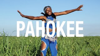 PAHOKEE Official Festival Trailer 2019 [upl. by Ivon593]