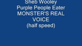 Purple People Eater THE REAL VOICE Sheb Wooley half speed [upl. by Patrica]