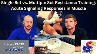 Single Set vs Multiple Set Resistance Training Acute Signaling Responses in Muscle [upl. by Harikahs]