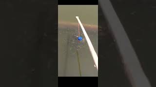 Creative Fishing Hacks Using Everyday Itemsfishing fyp cleaning smarthacks fishingtutorial [upl. by Yc]