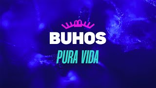 Buhos  Pura Vida Lyric video [upl. by Haraz446]