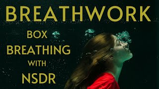 Box Breathing with NSDR  Yoga Nidra [upl. by Appolonia773]