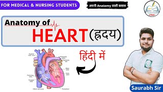 Heart  Valves  Chambers  Cardiovascular system Hindi  For NEET Medical Nursing Students [upl. by Kcirrem]