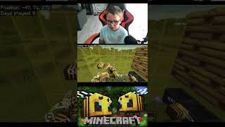 Building A Super Golden Mega Beehive Farm On Minecraft [upl. by Ahsenit]