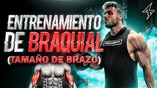 💪 Cómo entrenar el BRAQUIAL y otras cabezas del Bíceps  Aumentar el tamaño de los BRAZOS [upl. by Glarum]