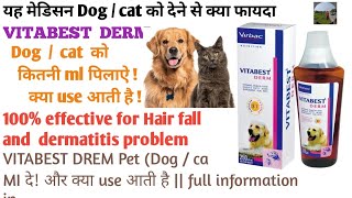 VITABEST DERM Syrup in hindi  dog skin and dermatitis problem medicine dog hair fall solution use [upl. by Eisenhart730]