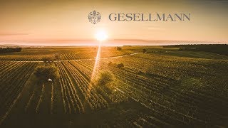 Weingut Gesellmann  Image Clip [upl. by Akeem]