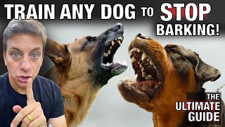 How To STOP Any Dog From Excessive Barking The Ultimate Guide [upl. by Ocsecnarf]