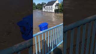 Flooded Bin Floats Down the River in Opava [upl. by Alik]